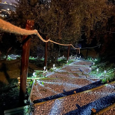 לינה וארוחת בוקר בורגו א בוג'יאנו Casa Del Pino מראה חיצוני תמונה